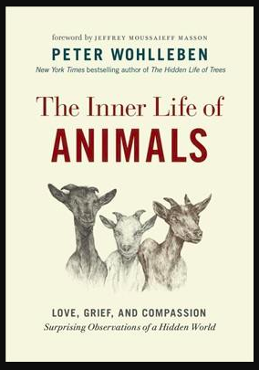 Animal Intelligence | Ms. Rosen Reads