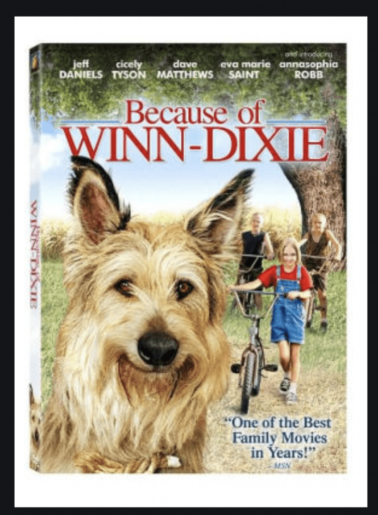 Writing about ‘Because of Winn-Dixie’ | Ms. Rosen Reads